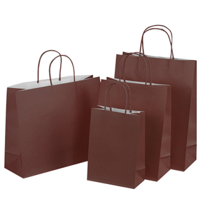 Recycled Kraft Paper Shopping Bags Suppliers For Party Celebrations