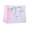 Luxury Paper Gift Bags Customize Reusable Shopping Bags with Logo